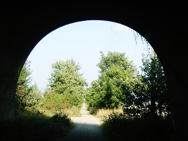 The disused railway line on the island of Lolland, now used as a cycleway.