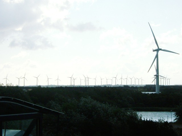 A wind farm on the coast near R�dbyhavn.