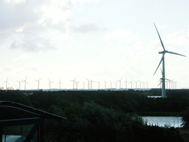 A wind farm on the coast near Rdbyhavn.