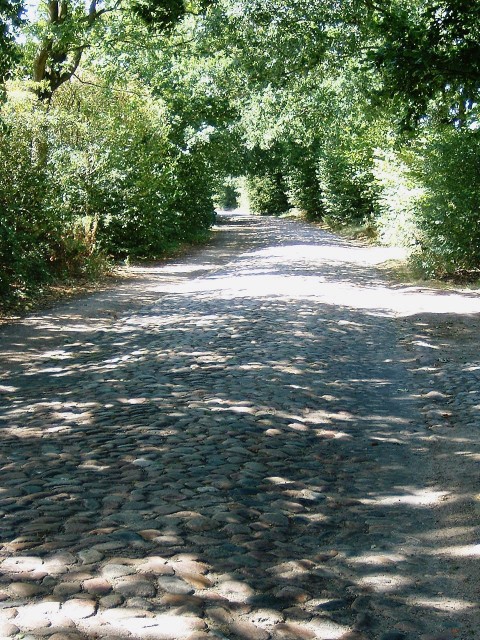 A rural cobbled road not far from Hamburg.