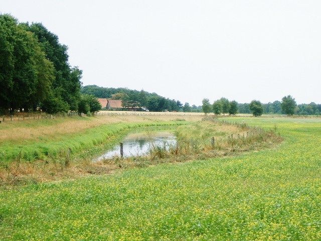 The River Hase near Loningen.