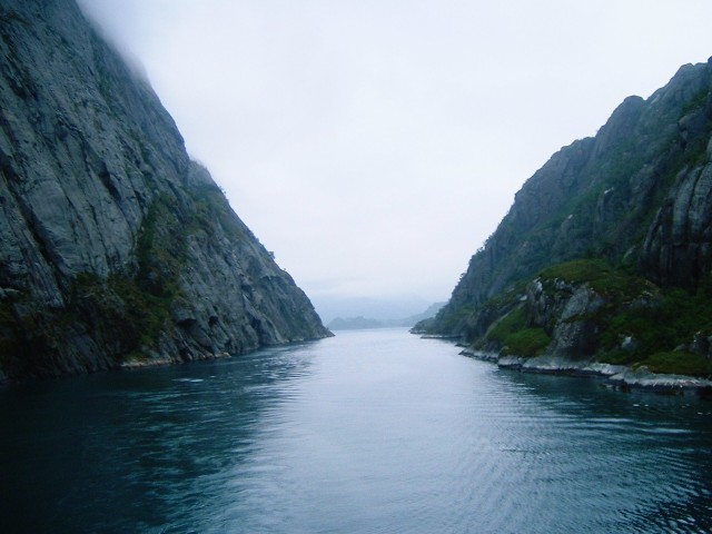 The Trollfjord. We came in, turned round and went out again.
