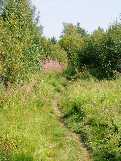 Not such a good route for cyclists. This was the narrowest path of my entire journey.
