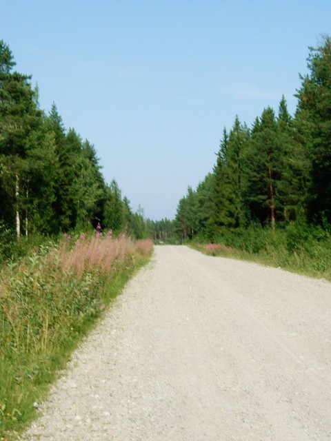 An unsurfaced road, like many others in Sweden.