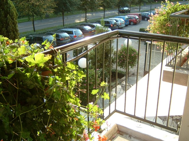 The view from the balcony of my hotel in Rhenen. The evening sunlight made it difficult to take a mo...