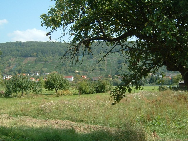 The view across the Main valley from Klingenburg.
