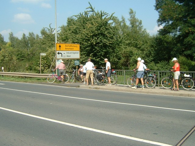 A flight of steps forming a bit of a bottleneck on the Main cycleway at Miltenburg.