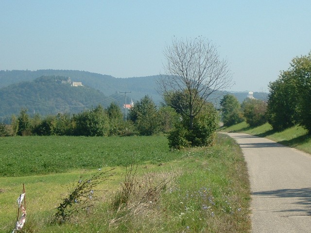 This is the Danube cycleway. The river is on the other side of that grassy bank on the right.