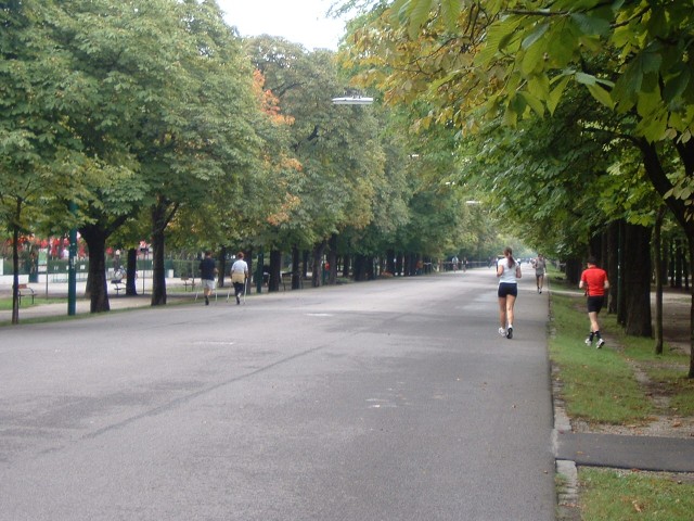 Prater Huuptallee, a broad straight traffic-free road running from the centre of Vienna right out in...