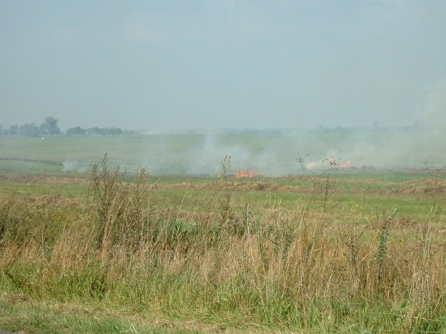 Stubble burning in the fields. I thought that had been banned.