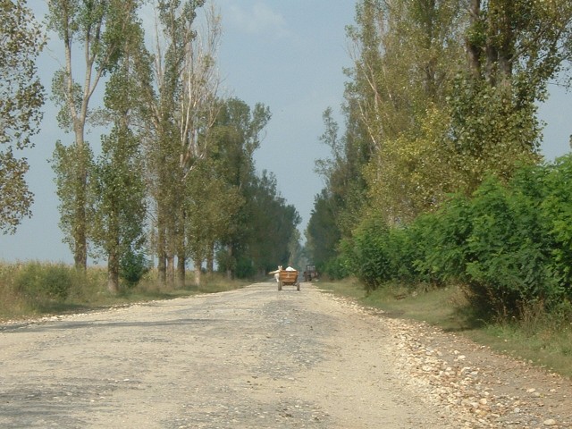 The road out of Bulgarus. Most of the traffic around here is horse-drawn.