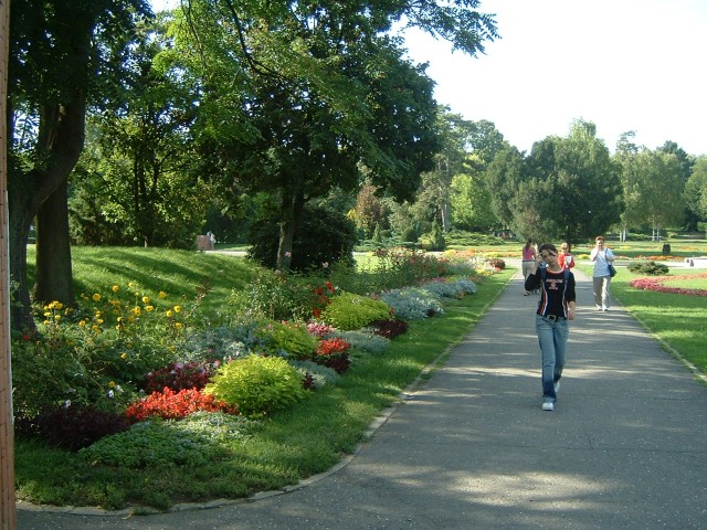 The botanic gardens in Timisoara.