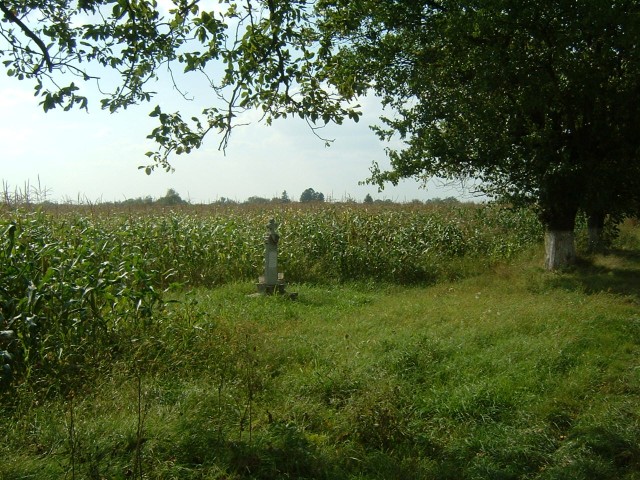 One of the many graves by the roadside. I don't know if they are for people who were killed on the r...