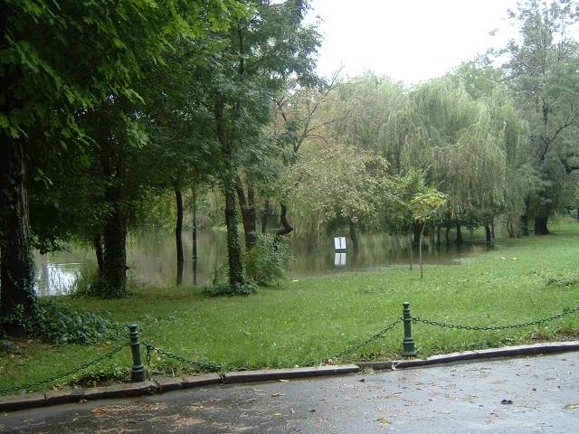 This is the Cismigiu garden. There is supposed to be a lake in the park but not here. I would see a ...
