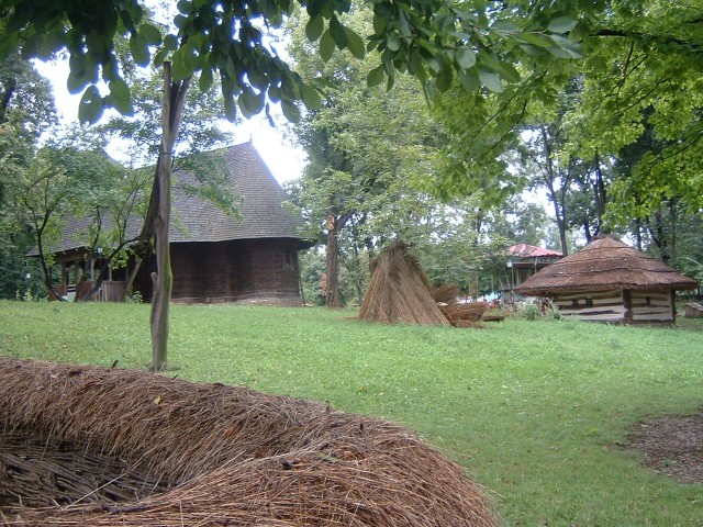 More exhibits plus some spare thatch and, bizarrely, a fairground carousel. There were also a lot of...