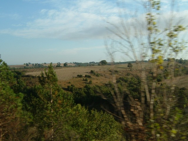 The Thracian scenery, seen from the train.