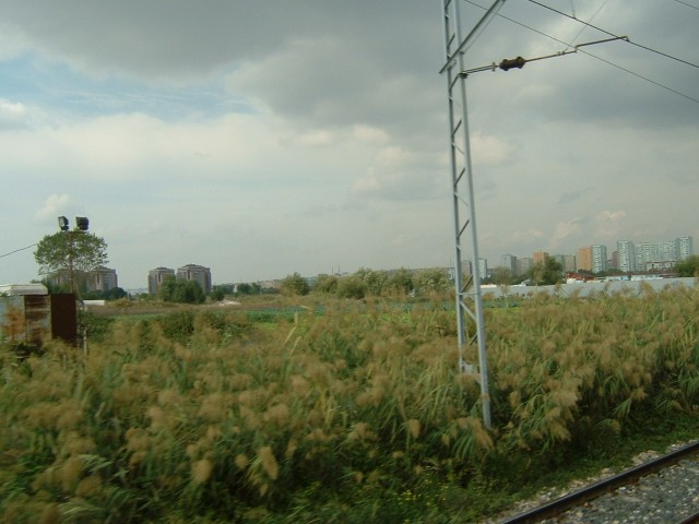 There's an impressive array of minarets in the distance but they aren't very easy to see here.
