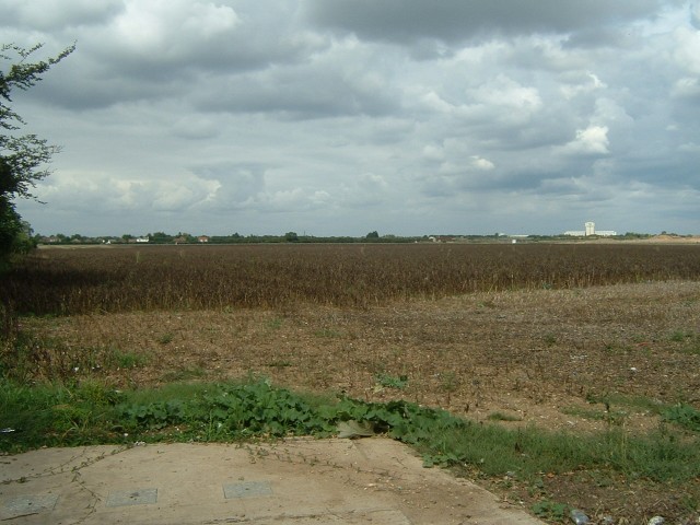 A field where I wouldn't have expected to find one, just across the Road from Heathrow Airport. That...