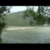 Rapids on the Rhein. The ducks seemed to enjoy going over these.