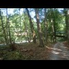 A bridge for walkers and cyclists across the road from Neu-Isenburg to Frankfurt. I'm off to Frankfu...