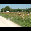 Pick-your-own flowers at Rednitzhembach. I passed quite a few fields like this, although I think thi...