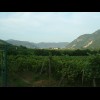 Vineyards near Sankt Michael.