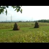 These haystacks are a common sight throughout Romania. There's a picture of one on the cover of my g...