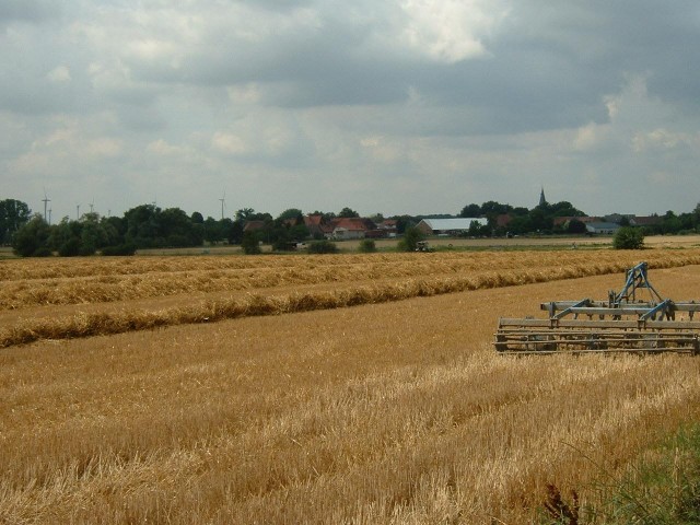 A view from a bridleway near Mnstedt.