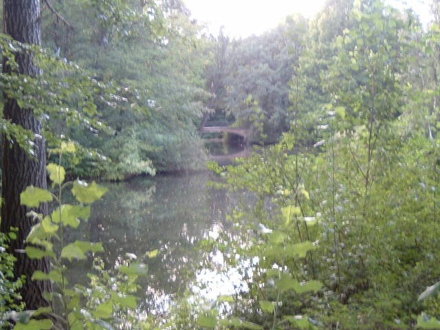 I'm now slightly lost in the Tiergarten park.