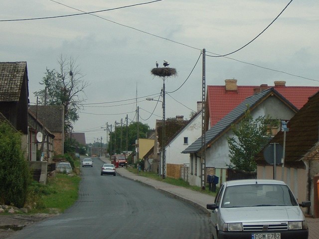 Storks. There are nests on the tops of telegraph poles in every village but I didn't see many of the...
