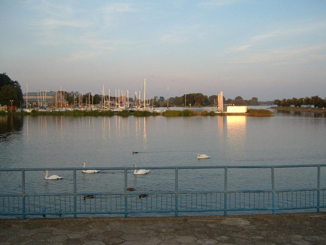 The harbour.