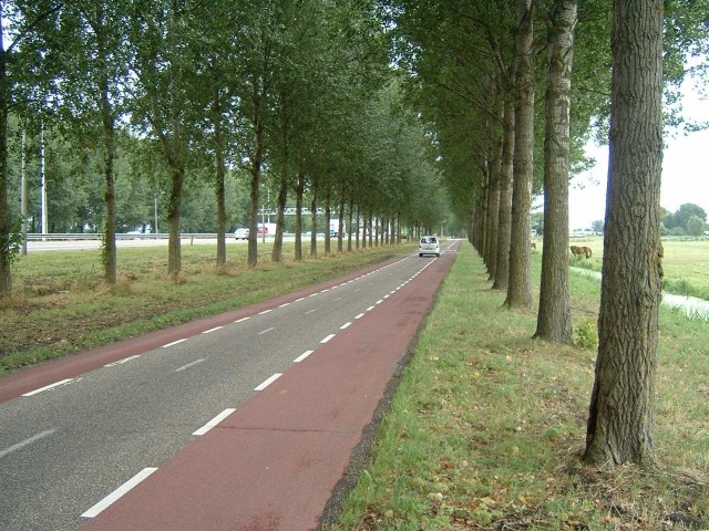 Here's an impressive road; most of it is taken up by the cycle lanes.