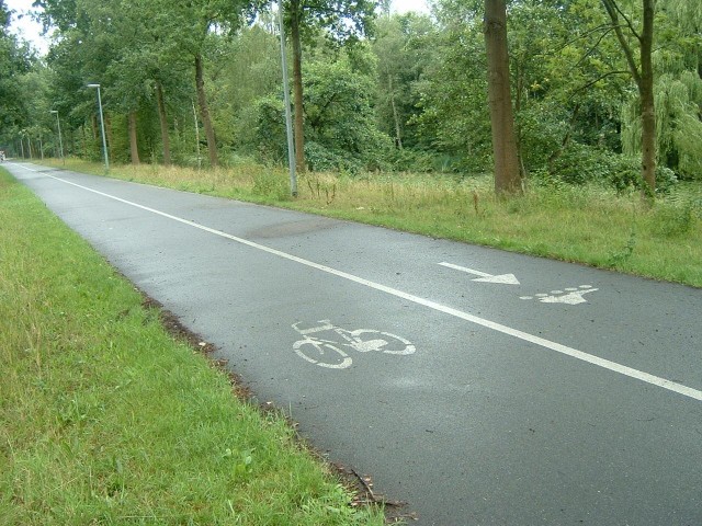 A cycle lane and a contraflow skating lane in Apeldoorn.