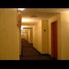 The hotel's corridors seemed less plush than any other part of it.