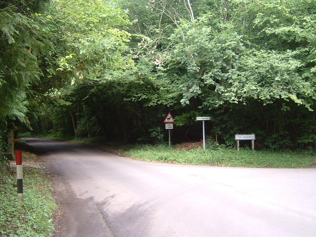Some dappled shade on the southern part of Salisbury Plain.