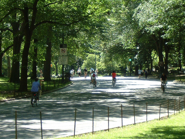 The cycle lane is the one on the far left, the one with hardly any bikes in it. I didn't understand ...