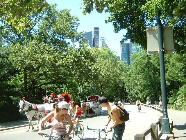 Bikes. Horses. This is still Central Park, of course.