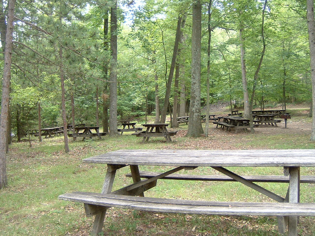 An extensive, and currently unused, picnic area at Cowans Gap. The 170 metre climb wasn't as hard as...