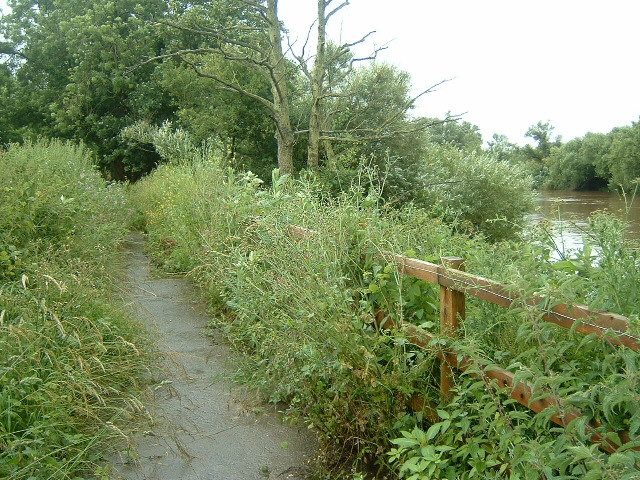 This cycle path has become a bit overgrown since I last used it. Some of the plants were rather spik...