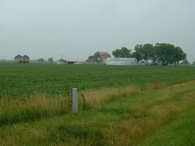Another farm.