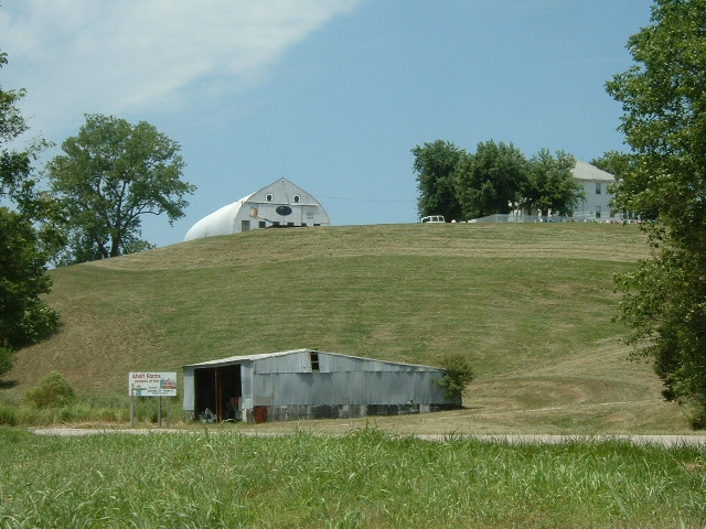 That looks like a happy barn.