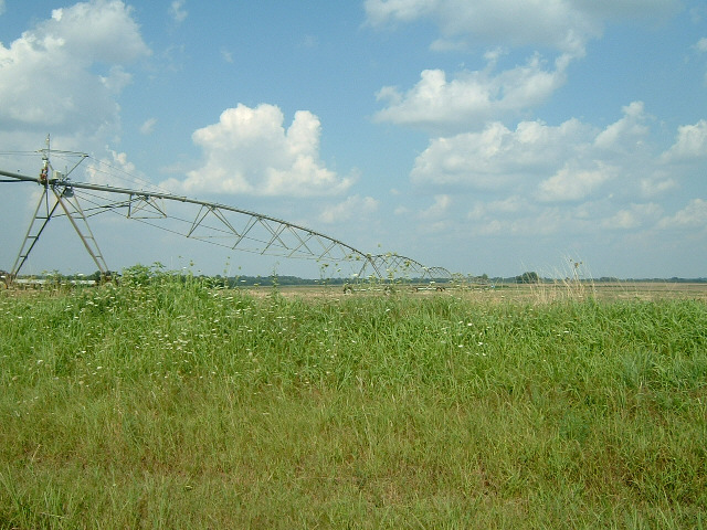 Here's one of many giant irrigating machines which cover the prairie. Somewhere in the distance is t...
