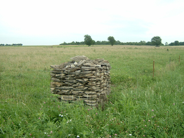 Apparently, Kansas is famous for having stone fence posts instead of wooden ones because a large par...