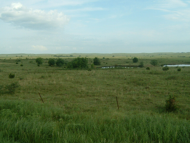 More beef grazing ground.