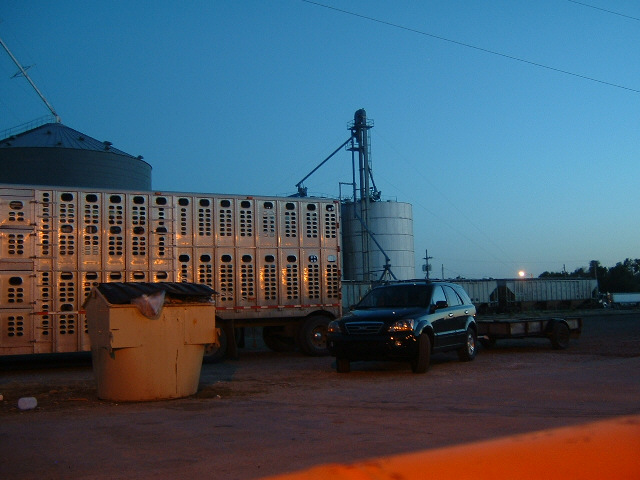 A train, grain elevators and a cattle lorry, all typical sights in this area. These ones are round t...