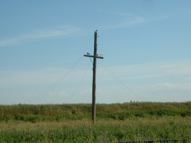 This doesn't give me much confidence that the phones will work any better here than in Kansas.