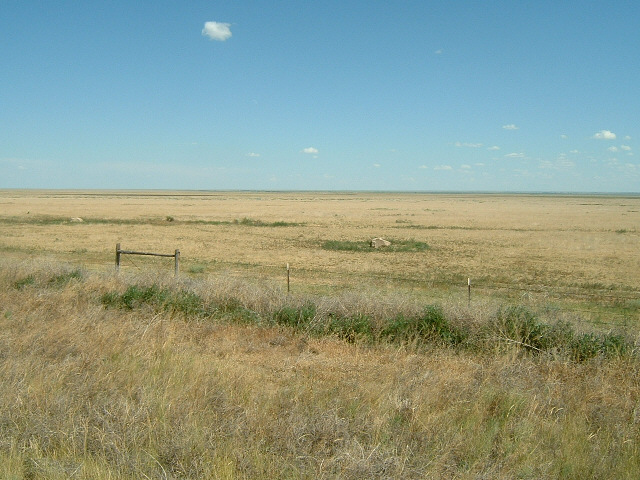 Still pretty flat. A little way back, there was a 'for sale' sign just beyond the fence. It looked l...