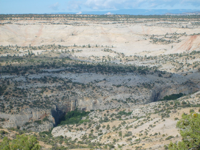 I'm now standing on something called the Hog's Back, which is indeed a very scenic road.