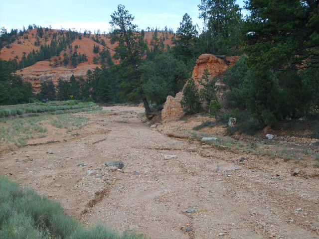 The dry river bed.