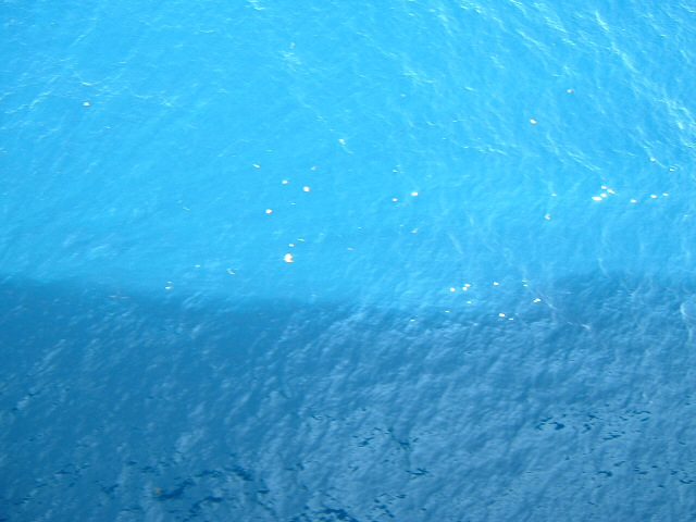 This is blue sea, isn't it? There are bits of plant-like material floating on it. I wonder if that's...